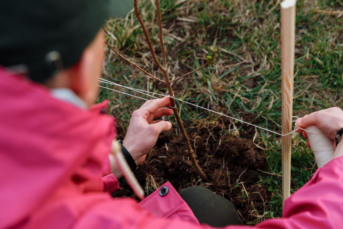 Environmental Volunteering UK: A Practical Guide for Local Communities - ilustracja artykulu