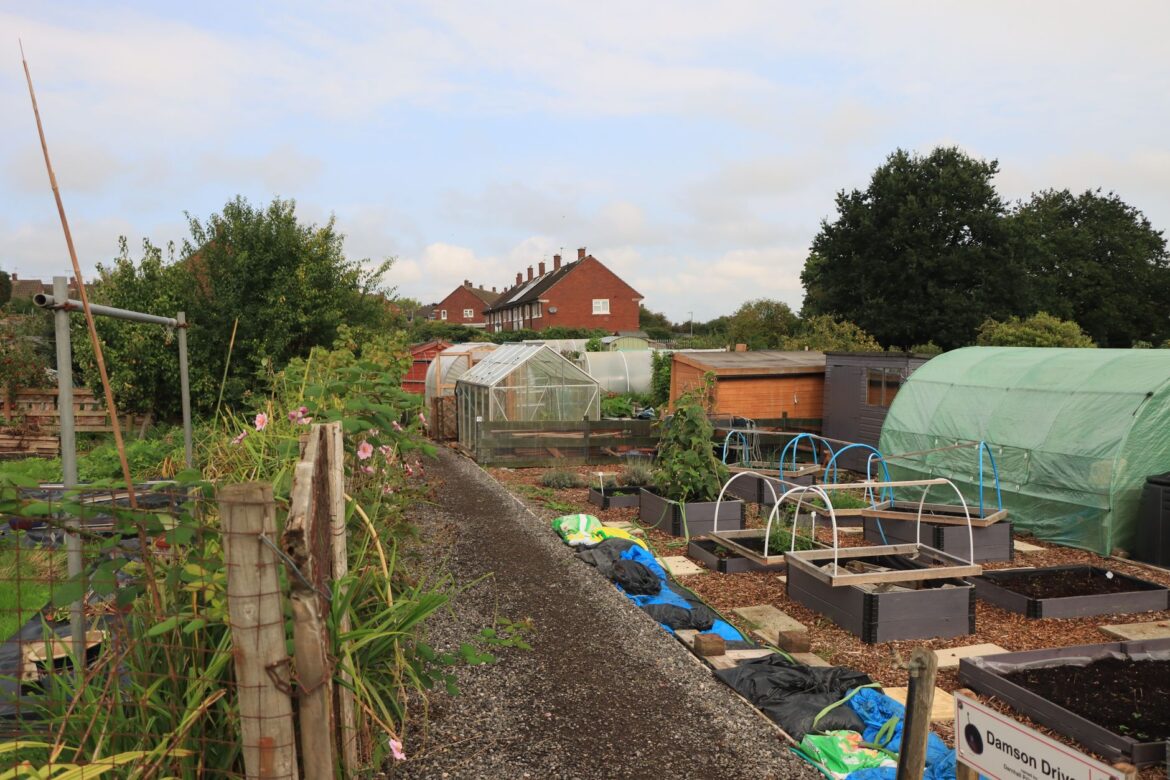 Allotment Waiting List Tips UK: How to Secure a Plot Faster - ilustracja artykulu