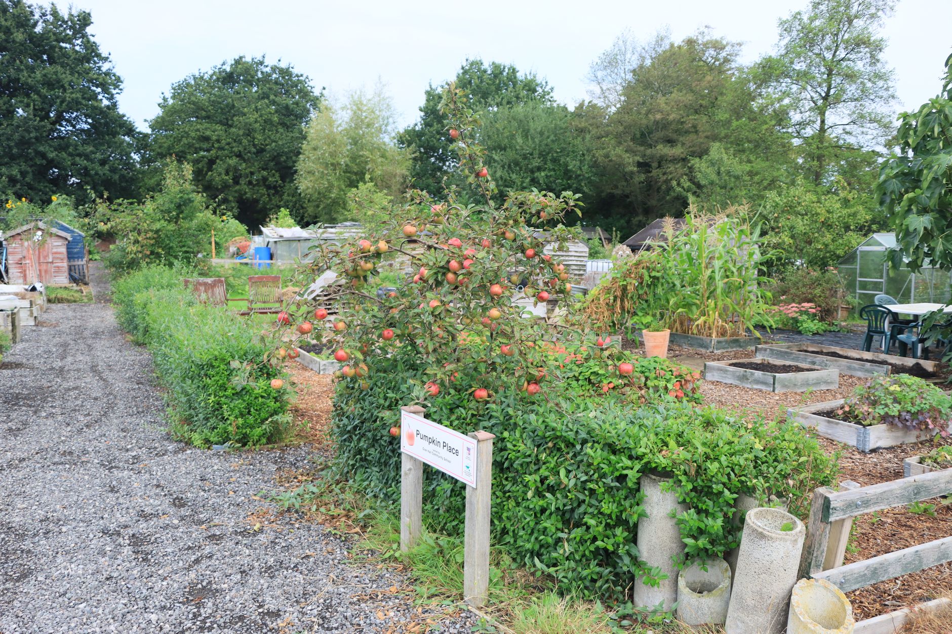 Allotment Waiting List Tips UK: How to Secure a Plot Faster - zdjecie w tresci