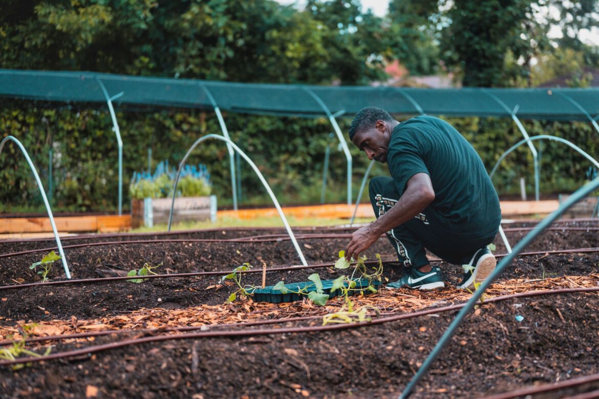 Community Garden Lease Agreement UK: Terms, Costs and Securing Land - ilustracja artykulu
